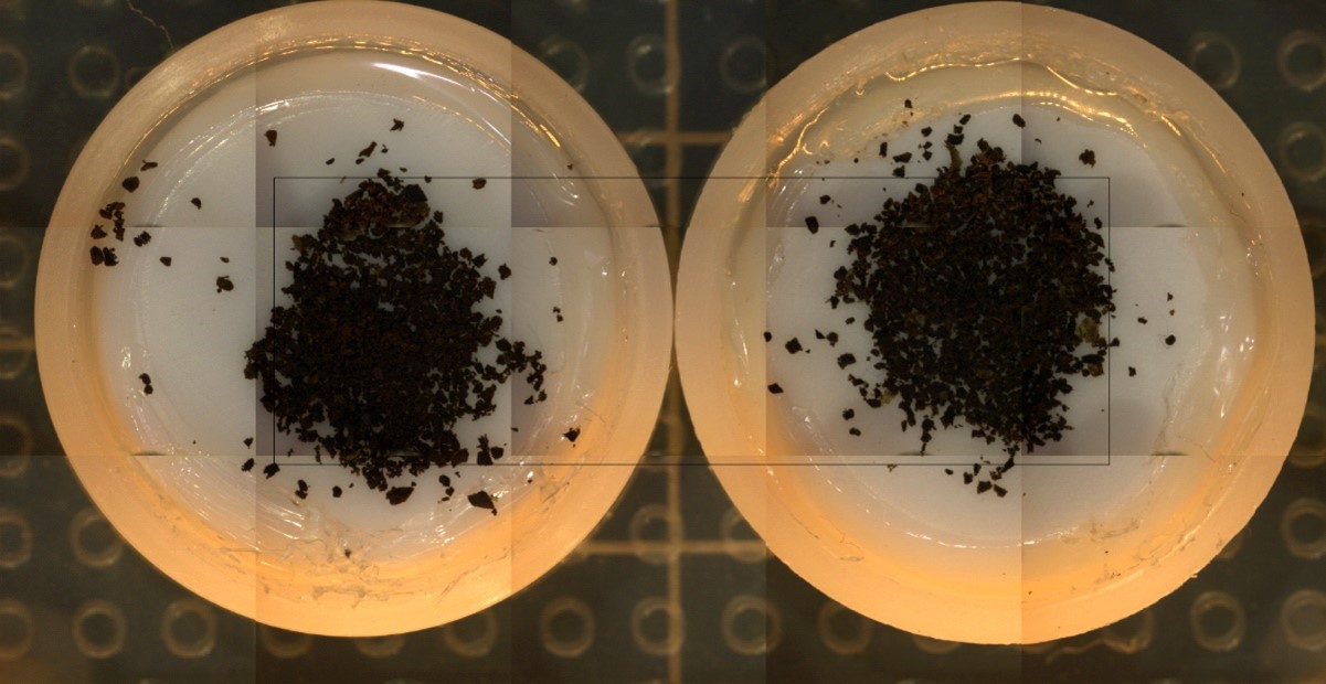 How do you like your coffee?