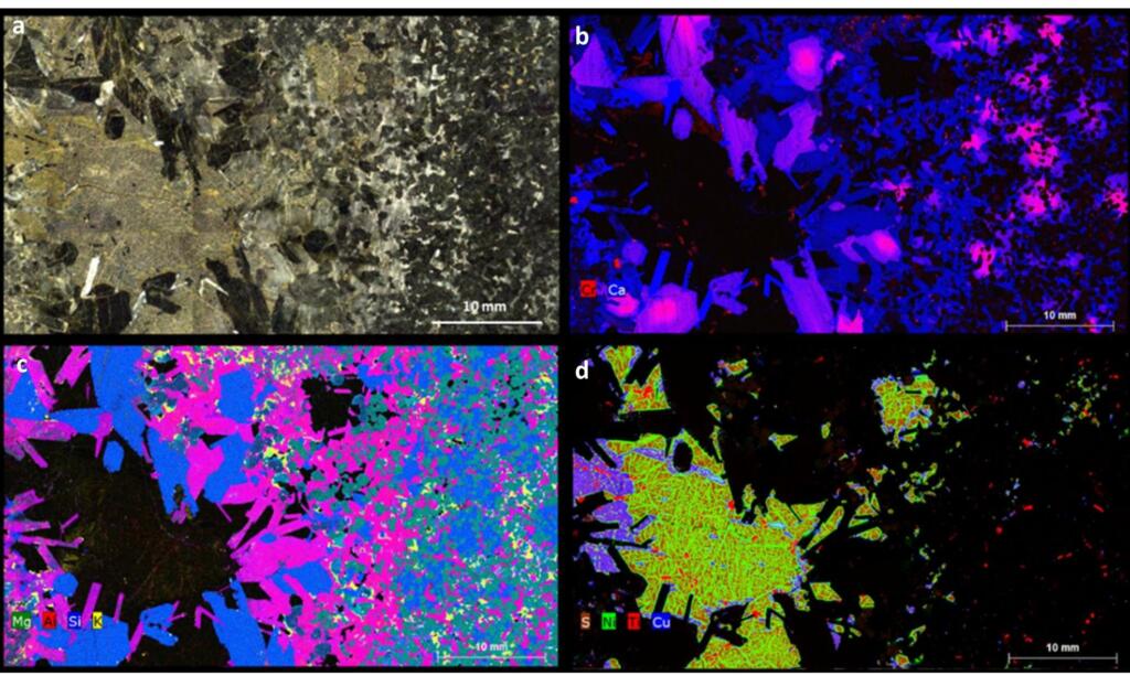 Four micro XRF elemental scans