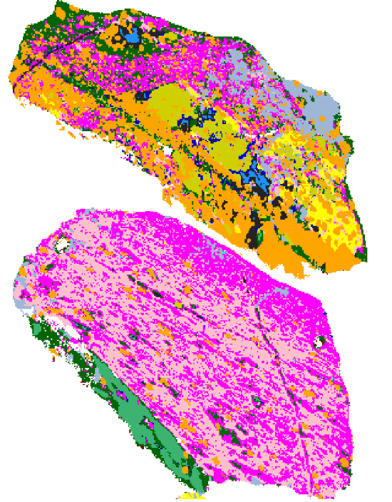 Classified mineral map at 291 metres
