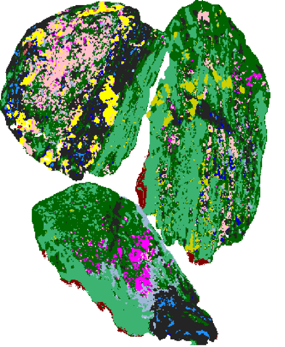 Classified mineral map at 300 metres