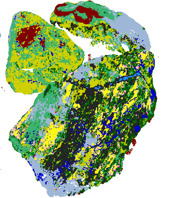 Classified mineral map at 308 metres